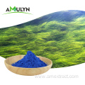 Natural Food Coloring Blue Spirulina Phycocyanin Powder